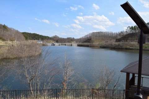 2017-5-3-4.jpg