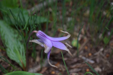 2017-5-7-5.jpg