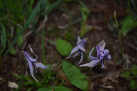 2017-5-7-6.jpg