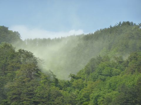 2017-6-9-8.jpg