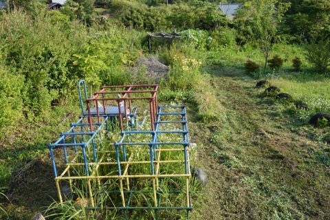 2017-7-11-3.jpg