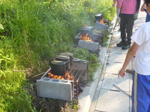 2017-7-12-4.jpg