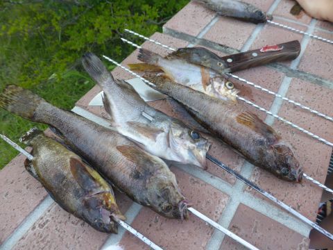 2017-7-12-8.jpg