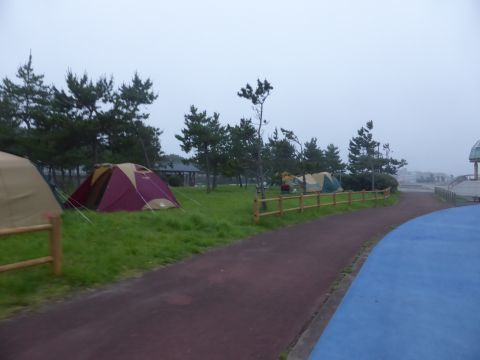 2017-7-15-1.jpg