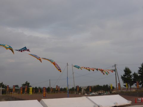 2017-7-17-4.jpg