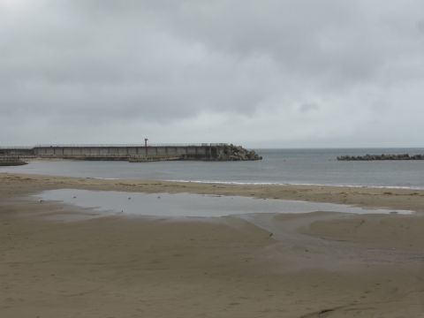 2017-7-25-5.jpg