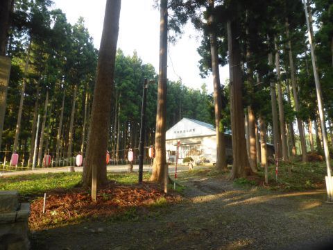 2017-7-26-5.jpg