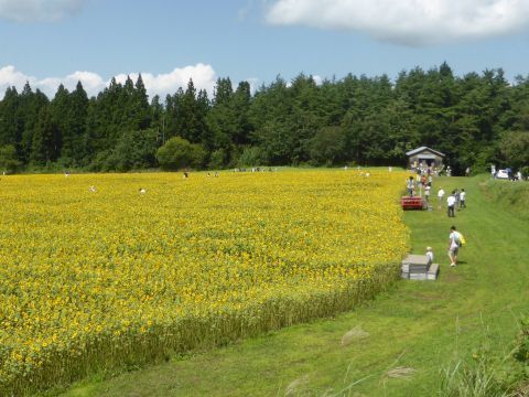 2017-8-29-7.jpg