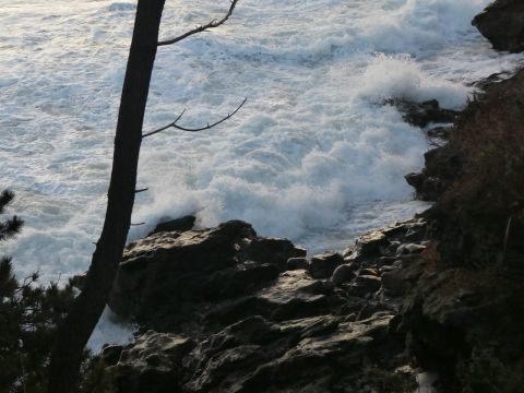 2018-1-1-4.jpg