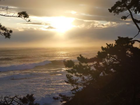 2018-1-1-7.jpg