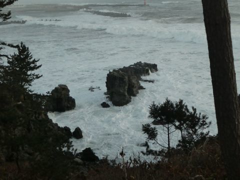 2018-1-2-6.jpg