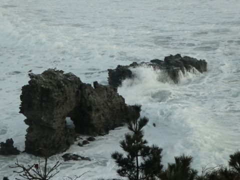 2018-1-2-7.jpg