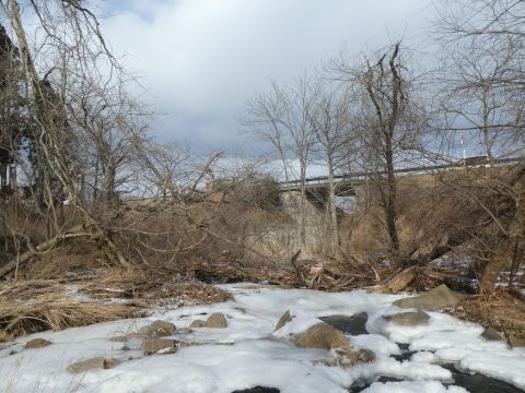 2018-1-28-1.jpg