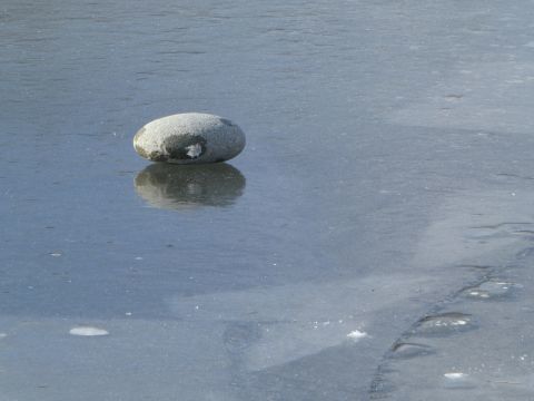 2018-1-29-4.jpg