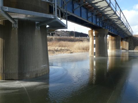 2018-1-29-6.jpg