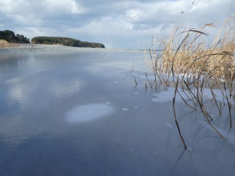 2018-1-29-7.jpg