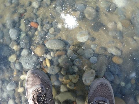 2018-1-29-8.jpg