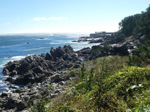 2018-10-11-2.jpg