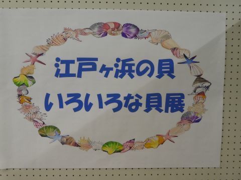 2018-10-23-8.jpg
