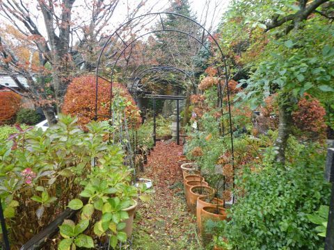 2018-11-25-5.jpg