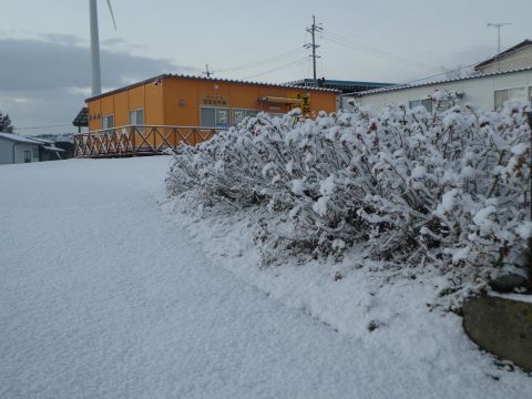 2018-12-15-8.jpg