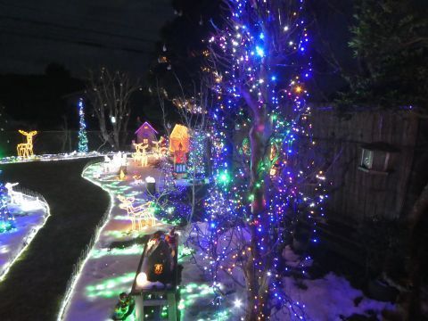 2018-12-17-10.jpg