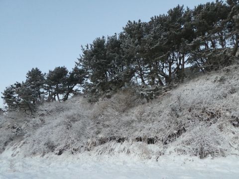 2018-2-19-4.jpg