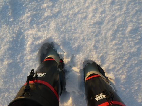 2018-2-26-2.jpg
