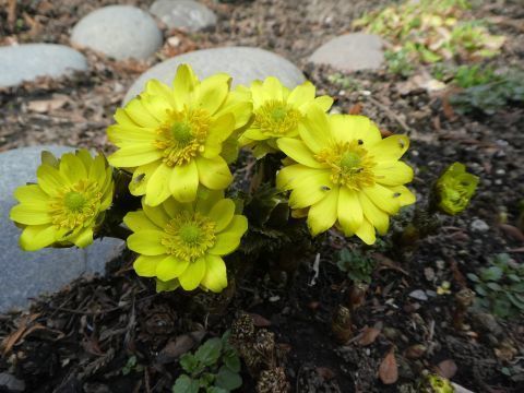 2018-3-17-10.jpg