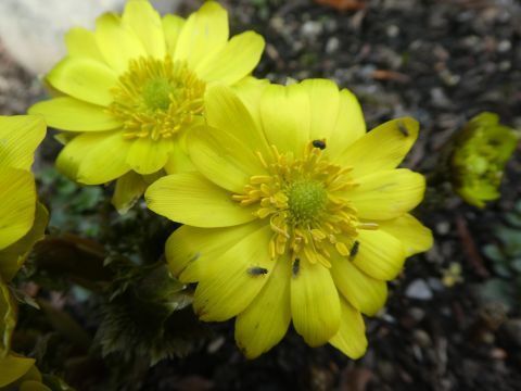 2018-3-17-9.jpg