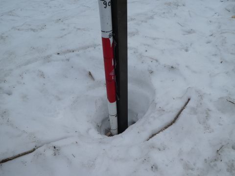 2018-3-21-12.jpg