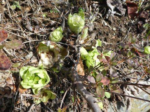 2018-3-25-3.jpg