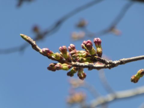 2018-4-12-3.jpg