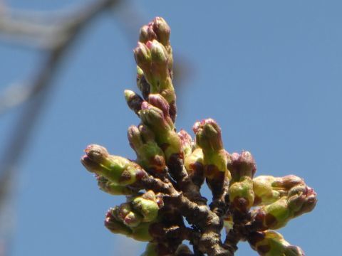 2018-4-12-4.jpg