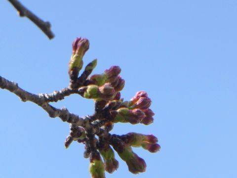 2018-4-12-5.jpg