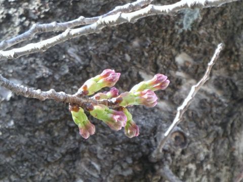 2018-4-12-7.jpg