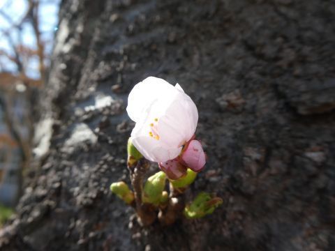 2018-4-14-8.jpg
