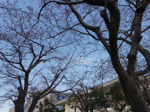 2018-4-17-1.jpg