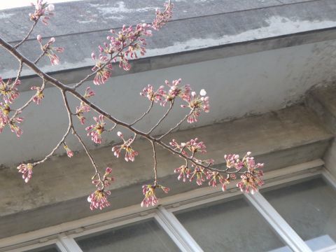 2018-4-17-3.jpg