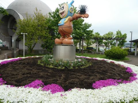 2018-4-20-8.jpg