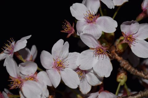 2018-4-25-6.jpg
