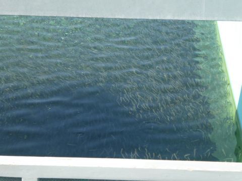 2018-5-1-7.jpg