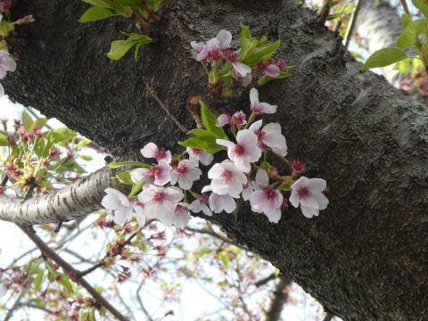 2018-5-2-2.jpg