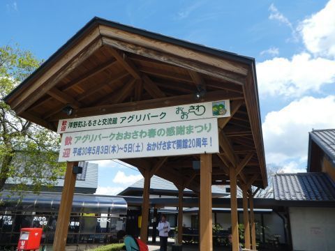 2018-5-7-1.jpg