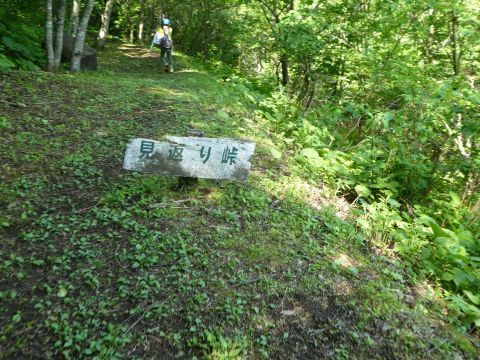 2018-6-6-11.jpg