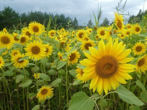 2018-8-27-4.jpg