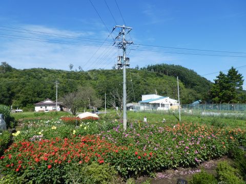 2018-9-14-13.jpg