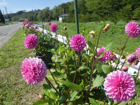 2018-9-14-3.jpg