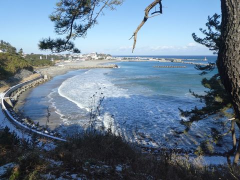 2019-1-1-1.jpg