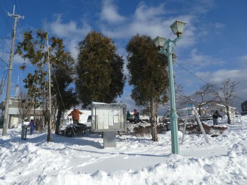 2019-1-28-1.jpg